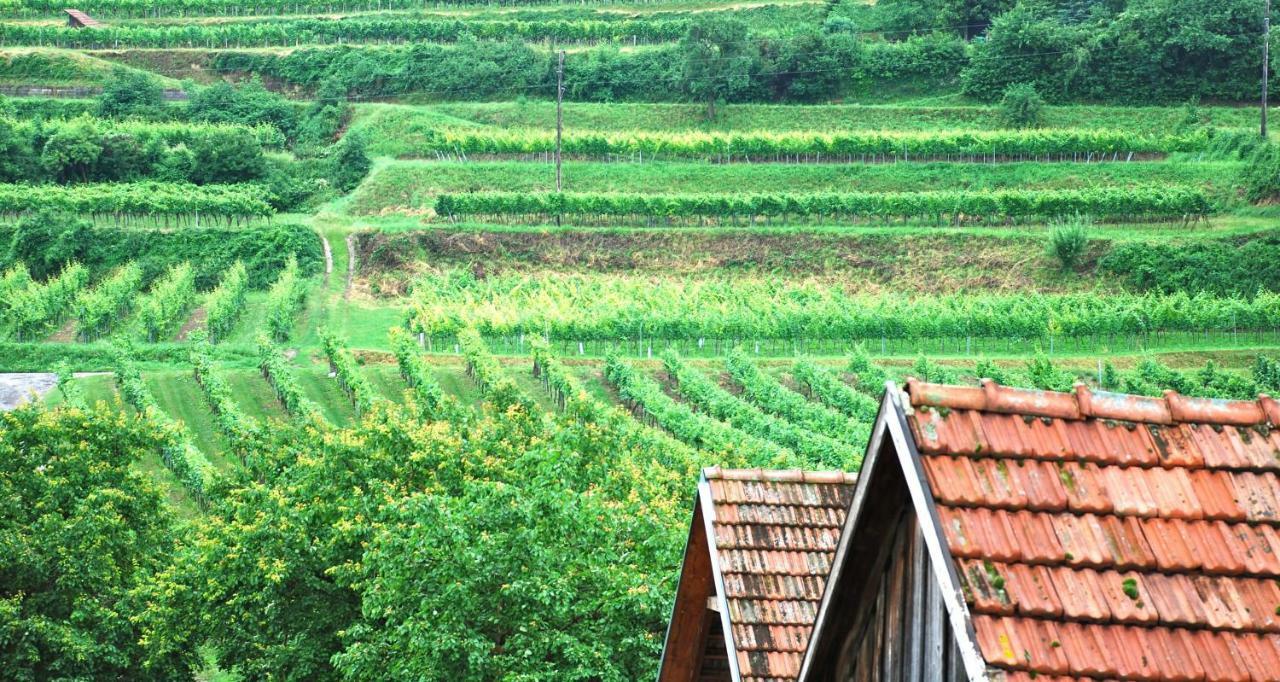 Weingut Jakob'S Ruhezeit Маутерн Экстерьер фото